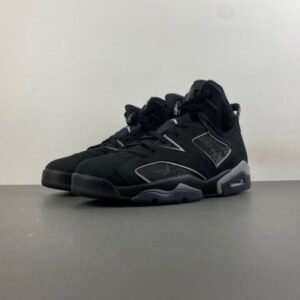 Air Jordan 6 Retro Cap and Gown IR2266-010